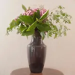Casa Elisabetta * 蒙泰斯库达伊奥
